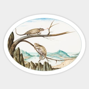 Two Chameleons above San Sebastián, Spain (1575–1580) Sticker